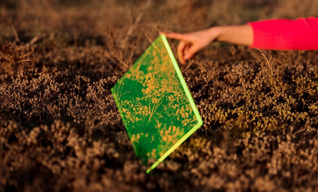 A person's hand reaches toward a translucent green rectangular pane resting in dry brush.