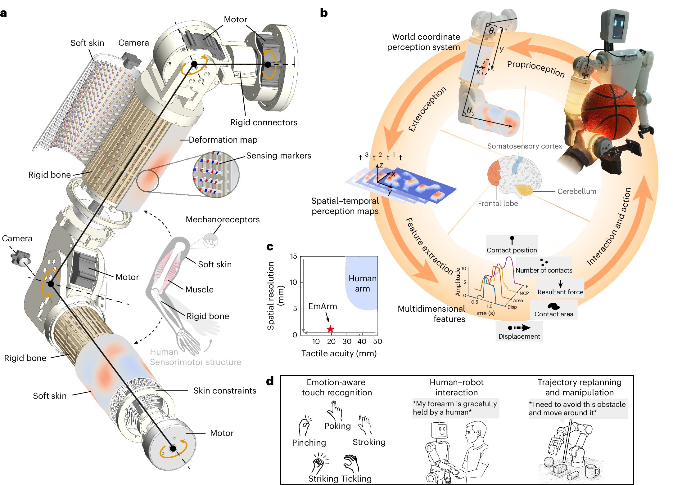 A technical diagram illustrating the components and sensory systems of a robotic arm alongside a comparison to human anatomy.